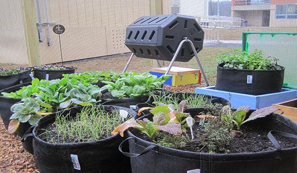 PTSA member establishes teaching garden