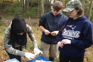 IB Biology students conduct ecological tests on Snakeden Branch