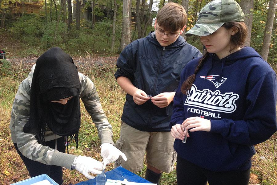 IB Biology students conduct chemistry tests on samples they took from the Snakeden Branch during a field trip this morning. Their data will be used by Reston Association and USGS to evaluate the health of the stream. 