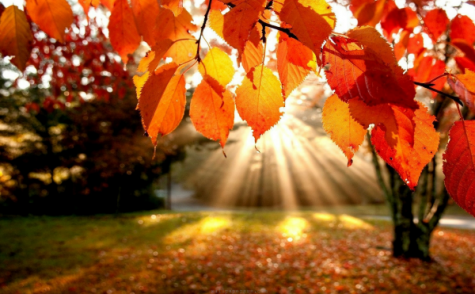 4 things to do this weekend (10/6 – 10/7)