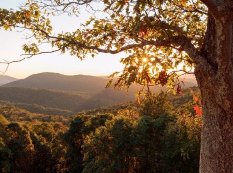 7 Things You Gotta Do This Fall