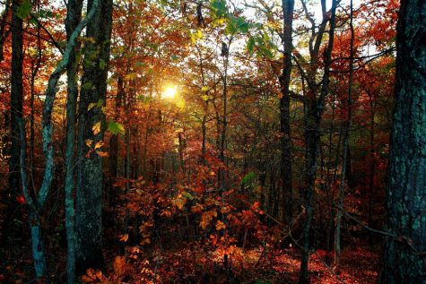 5 things to do this weekend (9/29 – 9/30)
