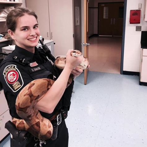 Snake Escape at Hayfield High School