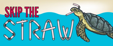 “Skip the Straw,” save a sea turtle