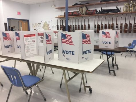 Everything on the Ballot in the Upcoming VA Election: Your Voting Guide