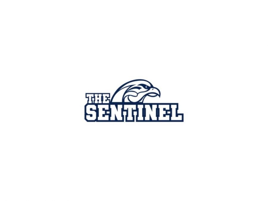 The Sentinel Presents: The Best of the 2010s!