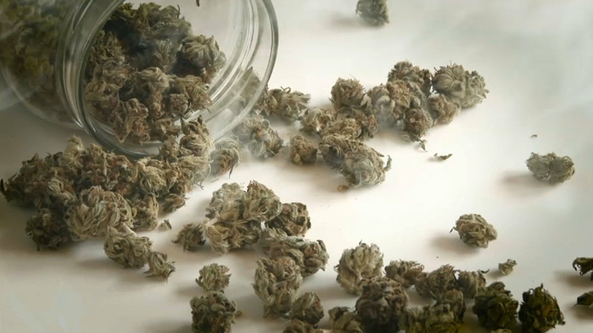 Cannabis decriminalized in Virginia