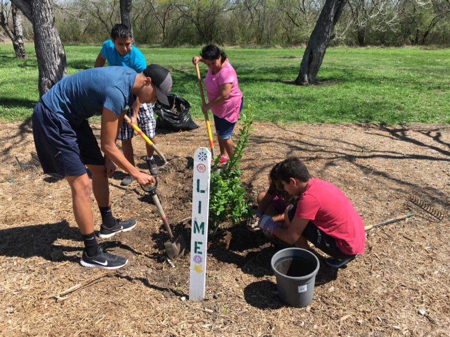 Image via the City of San Antonio