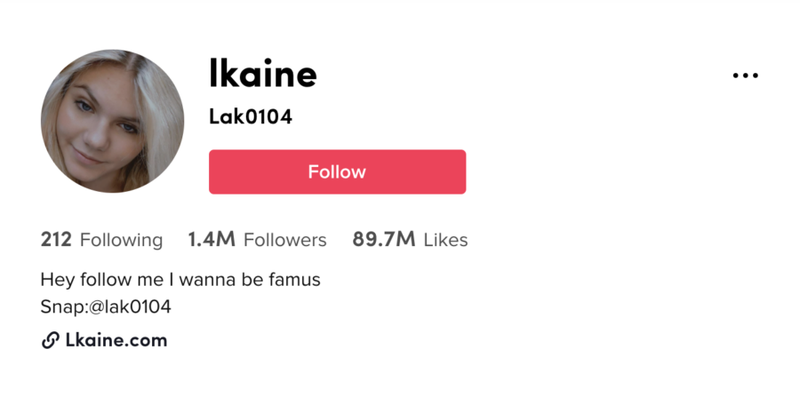 Image+via+%40lkaine+on+TikTok