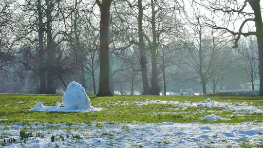 Image via Yale Climate Connections