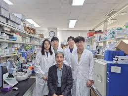 Image Via KAIST News Center