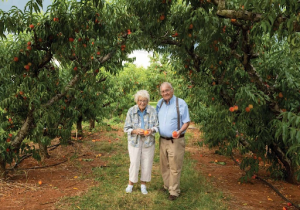 Image via Wine and Country Life