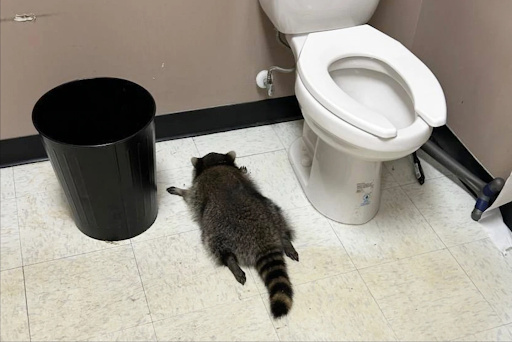 Image Via: Associated Press