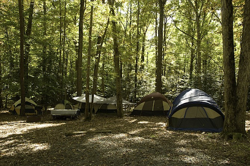 Burke Lake Campgrounds
Image Via: The Connection to your Community 