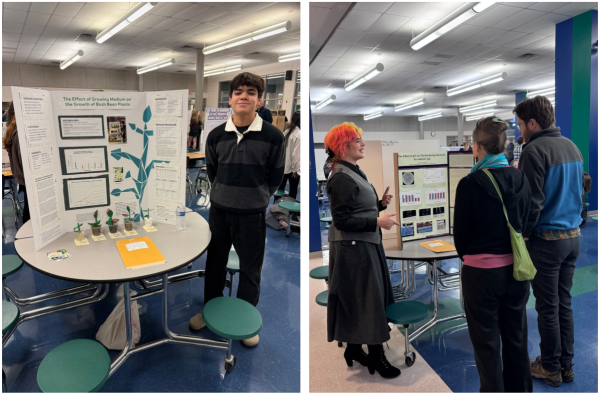 Photos courtesy of Theo Moreno-Hines and Gabriele Bouwma